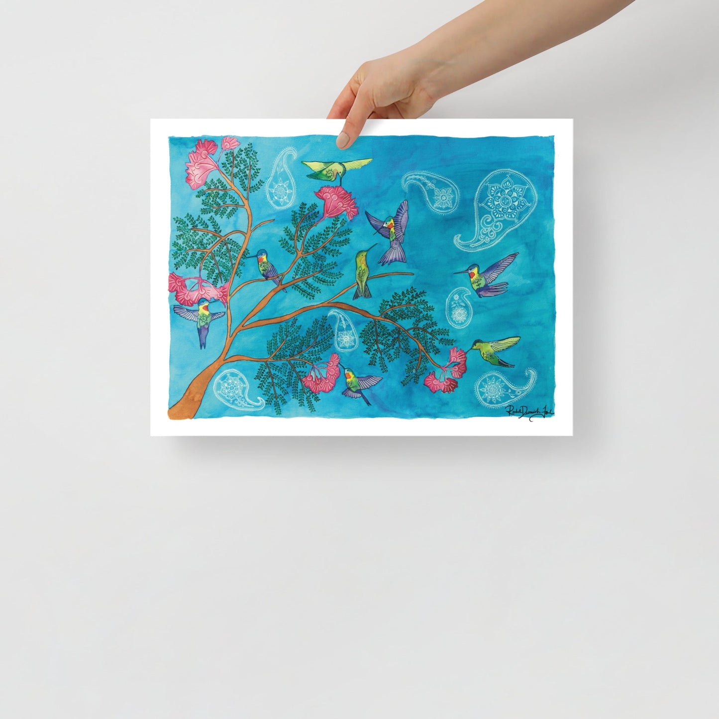 Hummingbirds: Watercolor Archival Print- Bird Illustration- Giclée Print