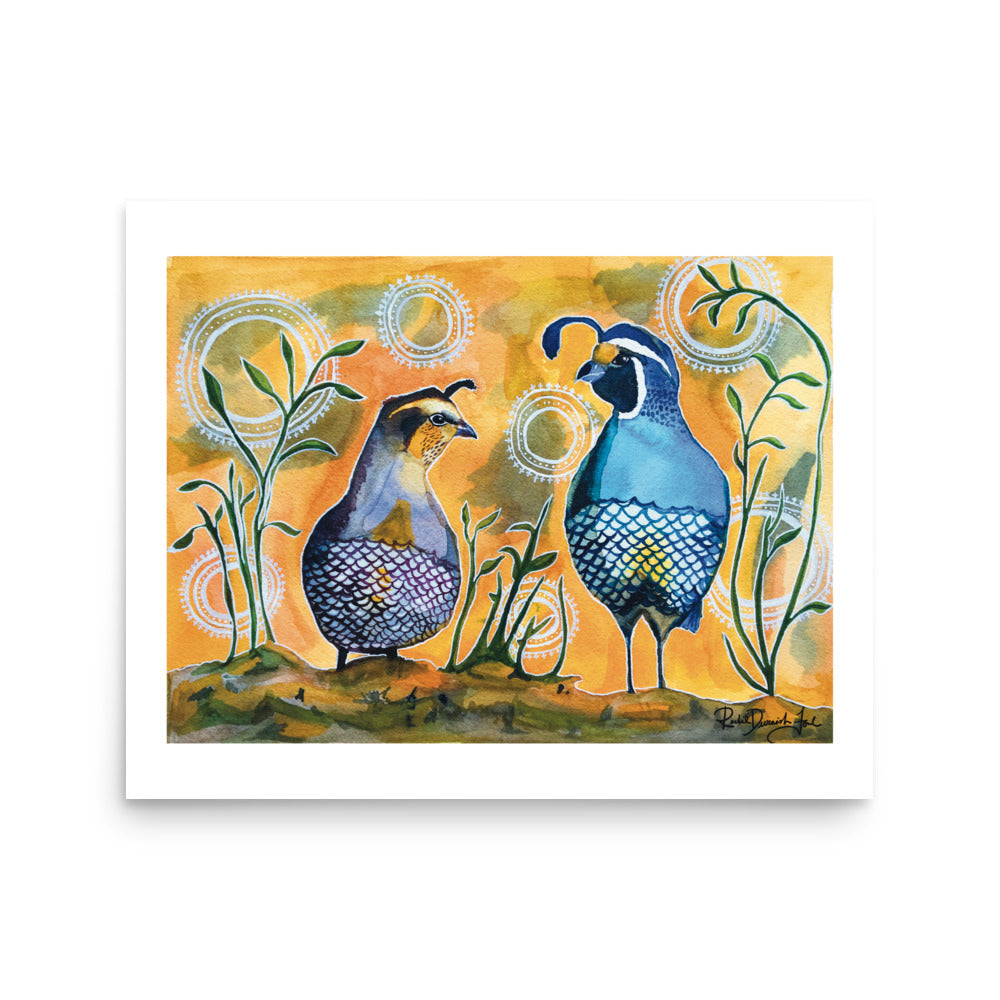 California Quail Couple - Watercolor and Ink Archival Print- Animal Illustration- Bird Illustration