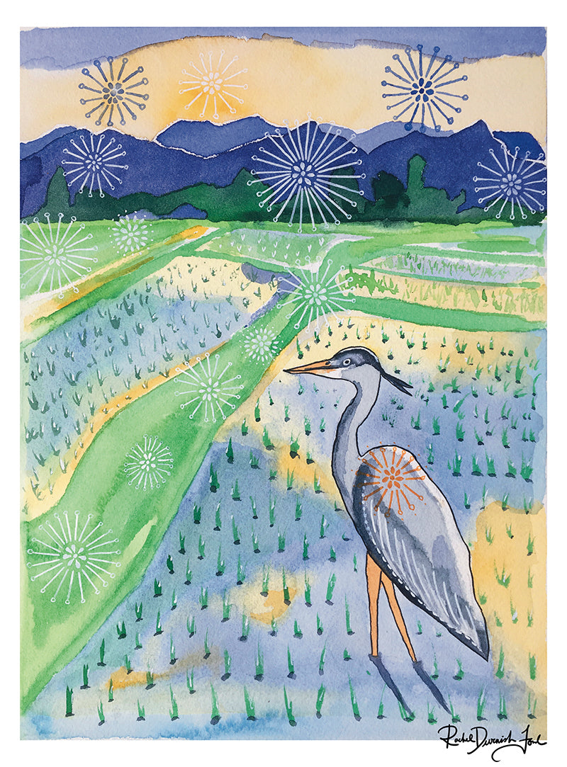 Grey Heron in Rice Field - Watercolor and Ink Archival Print- Animal Illustration- Bird Illustration