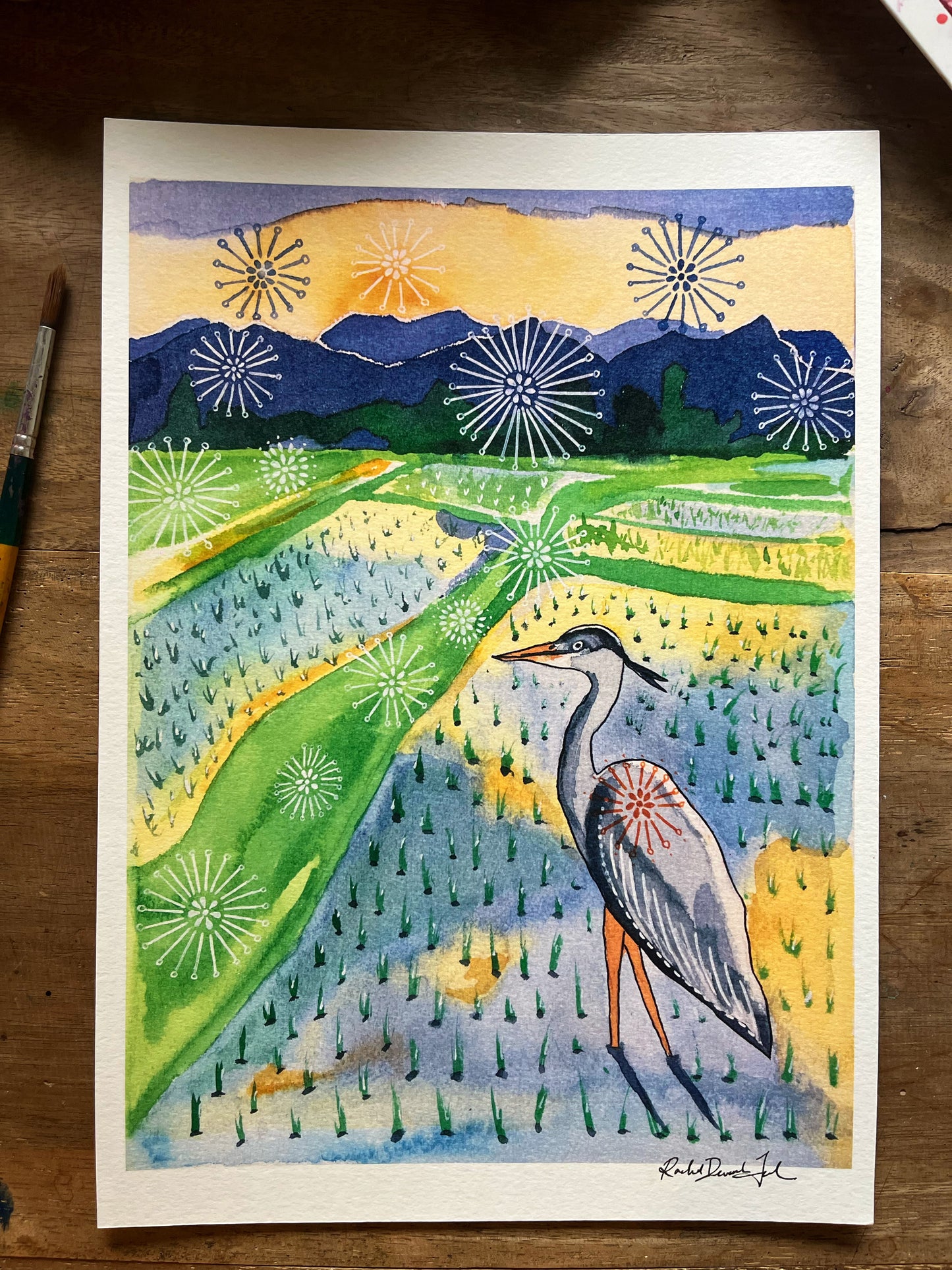 Grey Heron in Rice Field - Watercolor and Ink Archival Print- Animal Illustration- Bird Illustration