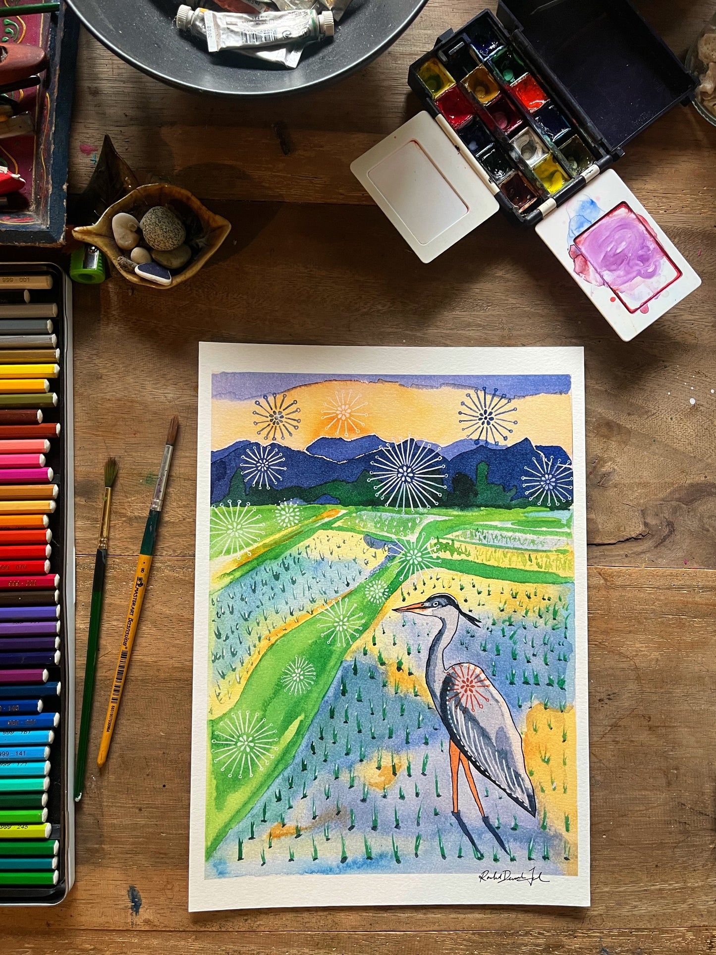 Grey Heron in Rice Field - Watercolor and Ink Archival Print- Animal Illustration- Bird Illustration