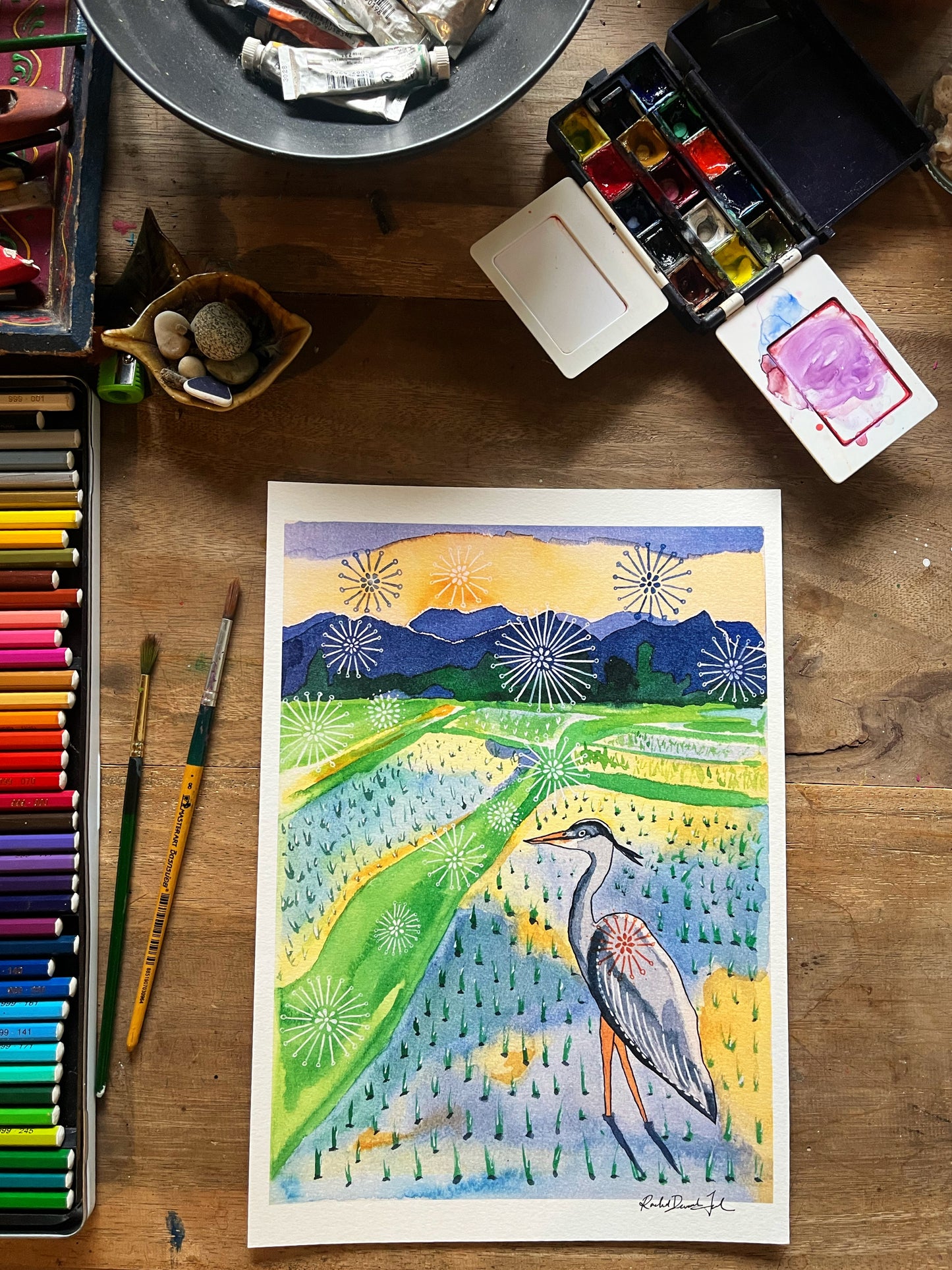 Grey Heron in Rice Field - Watercolor and Ink Archival Print- Animal Illustration- Bird Illustration
