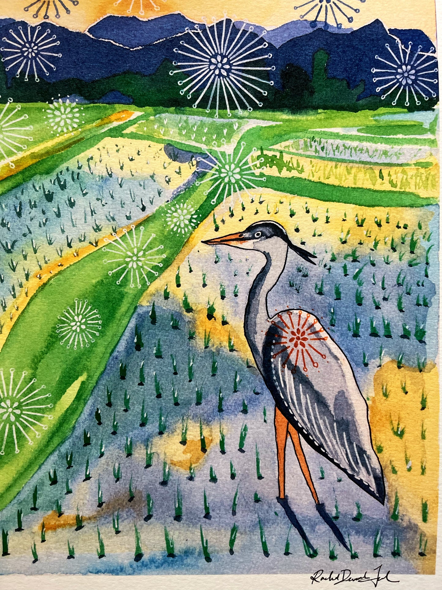 Grey Heron in Rice Field - Watercolor and Ink Archival Print- Animal Illustration- Bird Illustration
