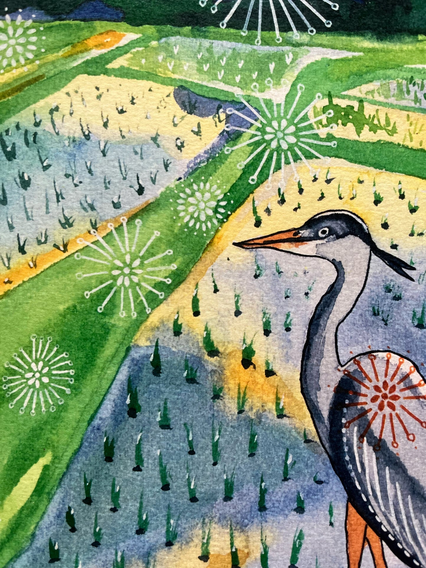 Grey Heron in Rice Field - Watercolor and Ink Archival Print- Animal Illustration- Bird Illustration